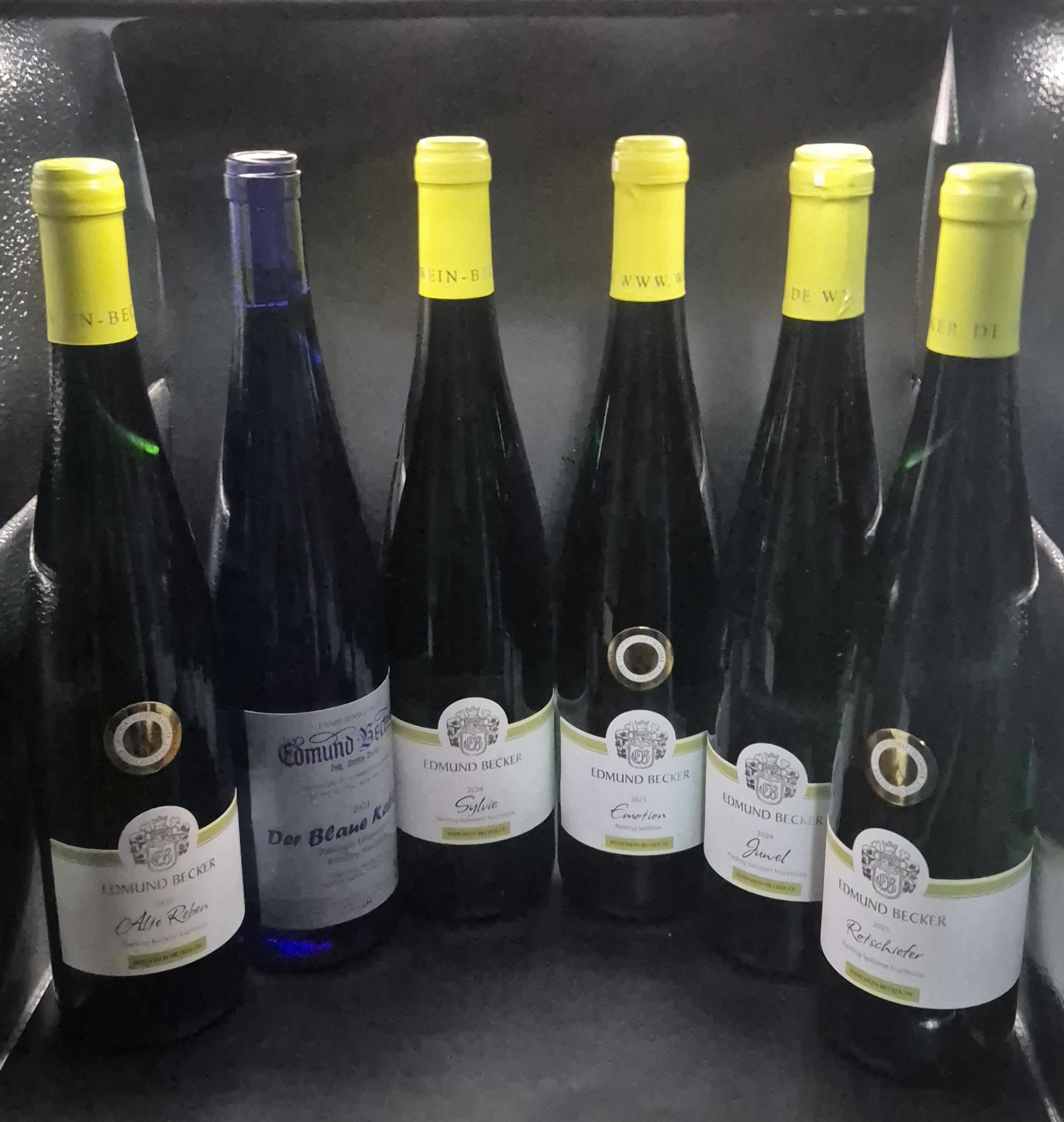 Probierpaket fruchtsüss (Preis incl. halbe Fracht)